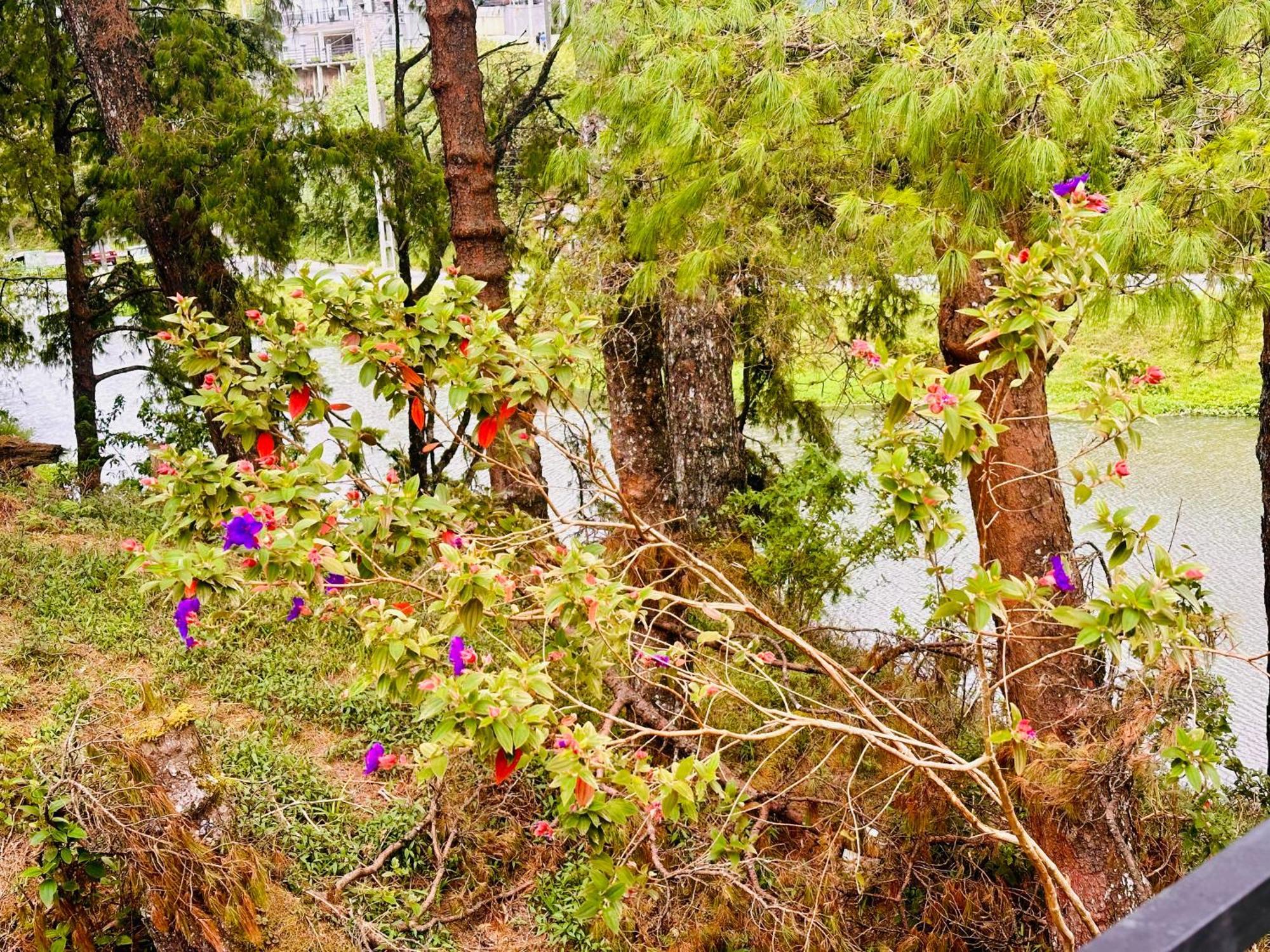 Lakeside Cottage By Clover Nuwara Eliya Eksteriør bilde